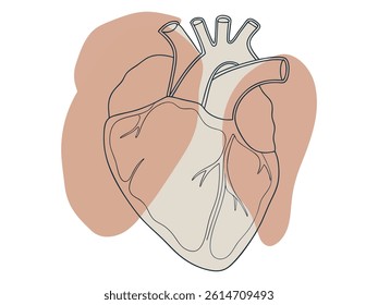Hand-drawn heart graphic for World Heart Day. This stylized illustration of a human heart, rendered in a hand-drawn line art style, is set against a backdrop of soft, pastel-colored abstract shapes.