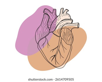 Hand-drawn heart graphic for World Heart Day. This stylized illustration of a human heart, rendered in a hand-drawn line art style, is set against a backdrop of soft, pastel-colored abstract shapes.