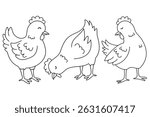 Handdrawn Hen Outline Set. Horizontal vector illustration for a coloring book