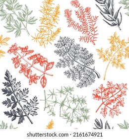 Hand-drawn herbs seamless pattern. Hand-sketched food background in color. Vintage aromatic plants backdrop in sketched style. Kitchen spice and herbs drawings for packaging, menu, textile in color