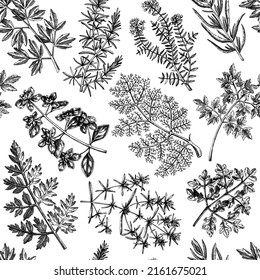Hand-drawn herbs seamless pattern. Hand-sketched food background. Vintage aromatic plants backdrop in sketched style. Kitchen spice and herbs drawings for packaging, menu, wrapping paper, and textile.