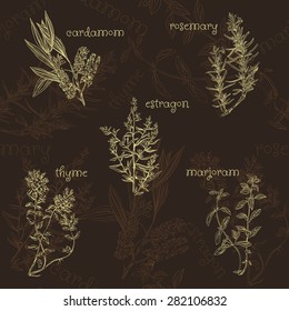 hand-drawn herbs and spices collection seamless pattern. Thyme, rosemary, cardamom, estragon, marjoram. Vector background in sketch style.