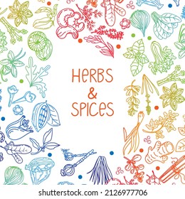 Hand-drawn herbs and spices in a doodle style. Elements in a circle on a white background. Rainbow. Handwritten lettering. Nuts, spices and herbs. Pepper peas. Flat style vector.