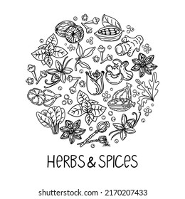 Hand-drawn herbs and spices in a doodle style. Elements in a circle. Handwritten inscription. Nuts, spices and herbs. Pepper peas. Flat style vector.