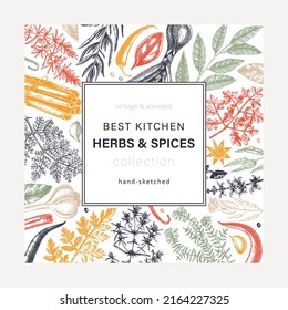 Hand-drawn herbs and spices square wreath. Sketched food illustration. Vintage aromatic plant drawings in color. Kitchen herbs and spice frame template in sketched style for menu, card, or packaging