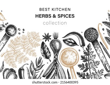 Hand-drawn herbs and spices vector background. Hand-sketched food illustration. Vintage aromatic plants hand-drawing banner. Kitchen herbs and spice frame template. Menu design in sketched style.