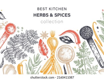 Hand-drawn herbs and spices vector background in color. Hand-sketched food illustration. Aromatic plant drawings. Kitchen herbs and spice frame template in sketched style for packaging, menu, banners