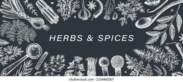 Hand-drawn herbs and spices vector banner. Hand sketched food illustrations on a chalkboard. Vintage aromatic plants hand-drawing. Kitchen spice and herbs black and white design in sketched style. 