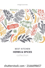 Hand-drawn herbs and spices vector card in color. Hand-sketched food illustration. Aromatic plant drawings. Kitchen herbs and spice frame template in sketched style for packaging, menu, banner design