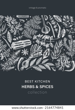 Hand-drawn herbs and spices vector card on chalkboard. Sketched food illustration. Aromatic plant drawings. Kitchen herbs and spice frame template in sketched style for invitation, menu, banners