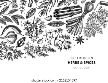 Hand-drawn herbs and spices vector design. Hand-sketched food illustration. Vintage aromatic plants hand-drawing. Kitchen herbs and spice frame template in sketched style. Vintage menu or banners