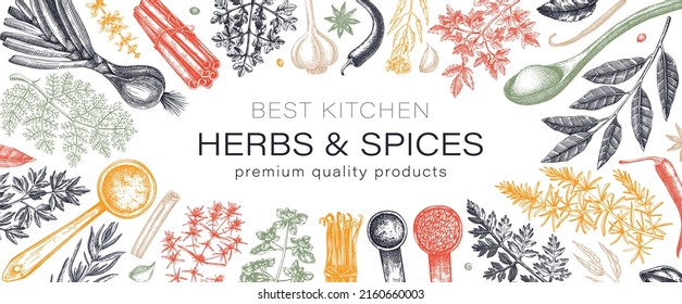 Hand-drawn herbs and spices vector frame design. Hand-sketched food illustration. Vintage aromatic plants hand-drawing. Kitchen herbs and spice frame template in sketched style. For menu or banners