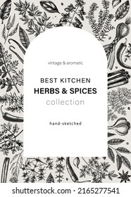 Hand-drawn herbs and spices vintage card. Sketched food vector illustration. Aromatic plant drawings. Kitchen herbs and spice frame arc template in illustrated style for invitation, menu, banners