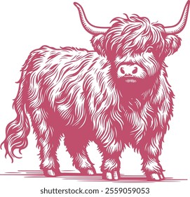 Hand-Drawn Highland Cow Illustration with Detailed Fur and Horns