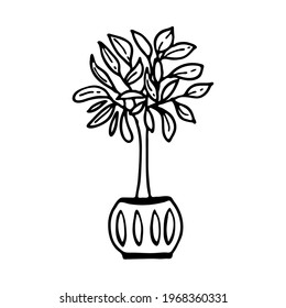 Árbol de casa dibujado a mano en una maceta de flores. Planta de hogar Doodle. Imágenes vectoriales para la decoración de diversos productos, textiles, postales