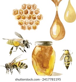 Envasado de tarro de miel de mano en la técnica de acuarela. Colección de apicultura y elementos apiarios. Ilustración vectorial de colmena, abeja trabajadora, panecillos y células. Una gota de miel orgánica, sana y dulce.