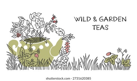Anuncio aislado Horizontal dibujado a mano con una tetera botánica con bayas y hierbas. Tonos verdes y rosados apagados con texturas punteadas. Arte vectorial para la marca de bienestar o etiquetas de productos herbales.