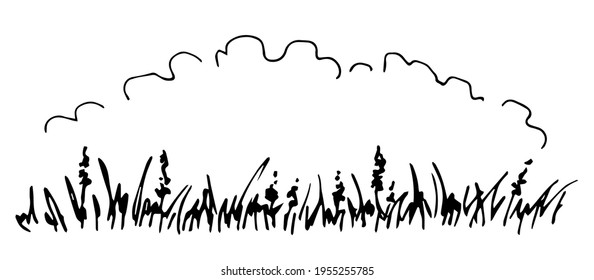 Hand-drawn horizontal vector black outline drawing. Border of wildflowers, herbs on a white background. Cloud frame, place for title. Meadow plants, nature. Floral banner.