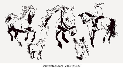 Hand-Drawn Horse Equestrian Aesthetic Cute Animals Vintage Vector Illustration Set