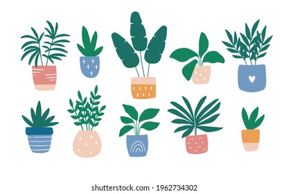 Hand-drawn house plant in colorful pot. Trendy cozy home garden decor. Urban jungle vector illustration set. Succulent, ficus, banana tree. Modern potted flowers in Scandinavian style. Pastel colors.