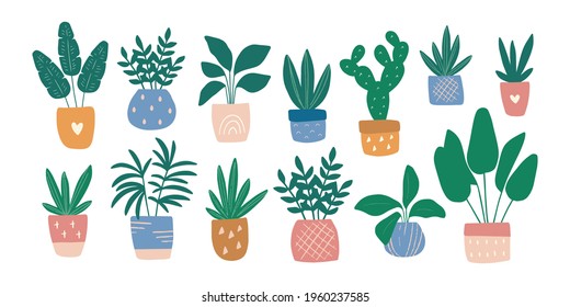 Hand-drawn house plant in pot. Trendy cozy home garden decor. Urban jungle vector illustration set. Succulent, ficus, banana tree, cactus. Modern potted flowers in Scandinavian style. Pastel colors