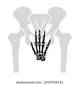 Hand-drawn human bones illustration, A vector anatomy of human body, An element for creating ortho logo