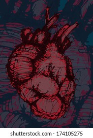 Hand-drawn human heart, vector illustration