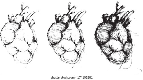 Hand-drawn human hearts, vector illustration, black collection