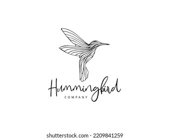 Handdrawn hummingbird logo design vector