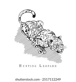 Leopardo de caça desenhado à mão, Leopardo ilustração vetor, Um predador perseguindo presa