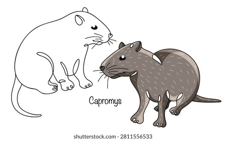 A hand-drawn hutia, depicted both in color and as a simple black-line drawing. It is a small rodent with a stout, stocky body, short legs, and a rounded head. It has thick, soft gray fur. Vector.