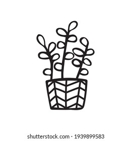 A hand-drawn icon of a houseplant. Vector icons of deciduous indoor plants in an ornament box. Illustration isolated on white background.