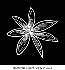 A hand-drawn or illustrated image of a leaf black and white