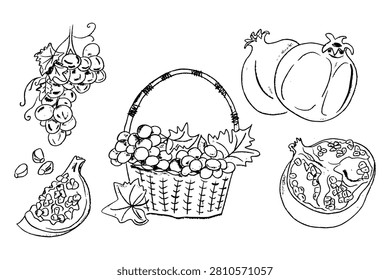 Hand-drawn illustration of assorted fruits including grapes, pomegranate, pumpkin, and watermelon in a woven basket with leaves on a white background
