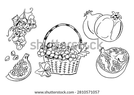 Hand-drawn illustration of assorted fruits including grapes, pomegranate, pumpkin, and watermelon in a woven basket with leaves on a white background