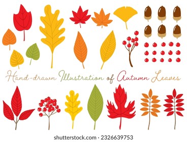 Hand-drawn Illustration of Autumn Leaves