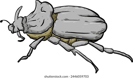 Handdrawn illustration of a beetle	
