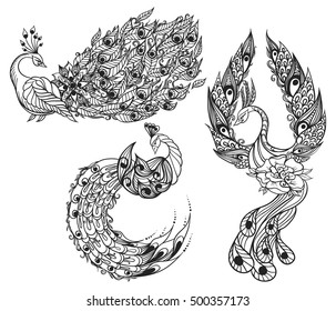 Hand-drawn illustration of birds. Drawing of three mythical swans. Vector illustration.