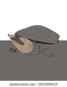 Ilustração desenhada à mão da tartaruga negra