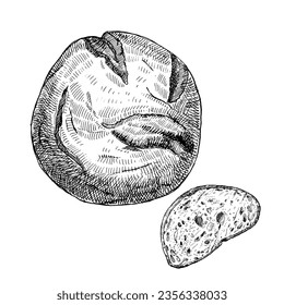 Hand-drawn illustration of Bread, vector