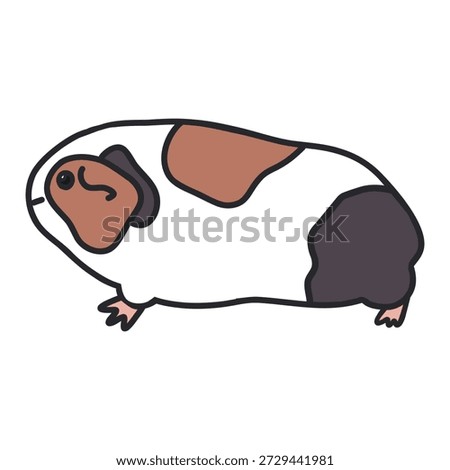 Hand-drawn illustration of a brown, black, and white guinea pig seen from the side, featuring a rough outline of its entire body