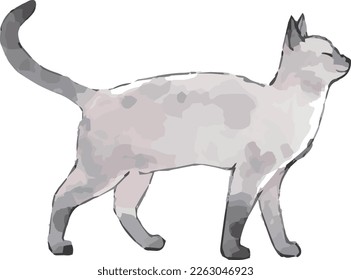 Hand-drawn illustration of a cat