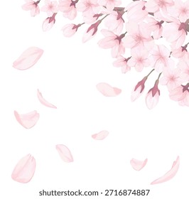 Ilustración dibujada a mano de flores de cerezo en plena floración con pétalos que caen