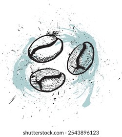 Hand-drawn illustration of coffee beans with ink splatters, coffee bean vector	