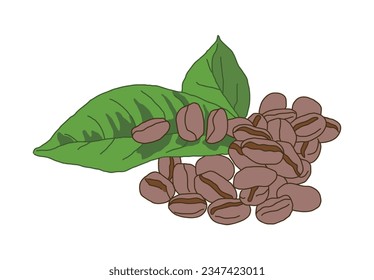 A hand-drawn illustration of 'coffee beans', a raw material for coffee drinks sold in cafes. Coffee is fragrant, bitter, and contains caffeine.
