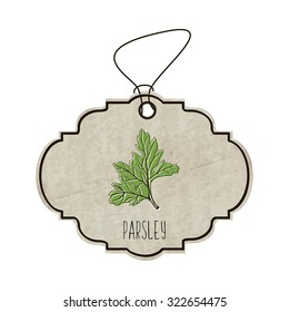 Handdrawn illustration from the collection of spices and herbs. The old label in retro style with colorful fragrant parsley. Vector illustration