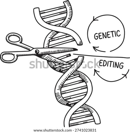 A hand-drawn illustration depicting scissors cutting a DNA strand, symbolizing the process and concept of genetic editing or gene modification.