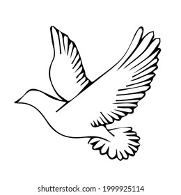 Hand-drawn illustration of a dove. Vector doodle birds isolated on white background for your design of wedding cards, posters, invitations.