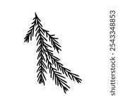 Handdrawn illustration of an evergreen pine branch. Ideal for nature, holiday, and Christmas-themed projects. Line art perfect for minimalist and seasonal designs