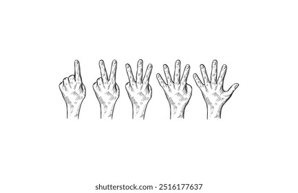 A hand-drawn illustration of five hands showing the numbers one through five.
